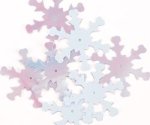 Large Snowflake Sequin